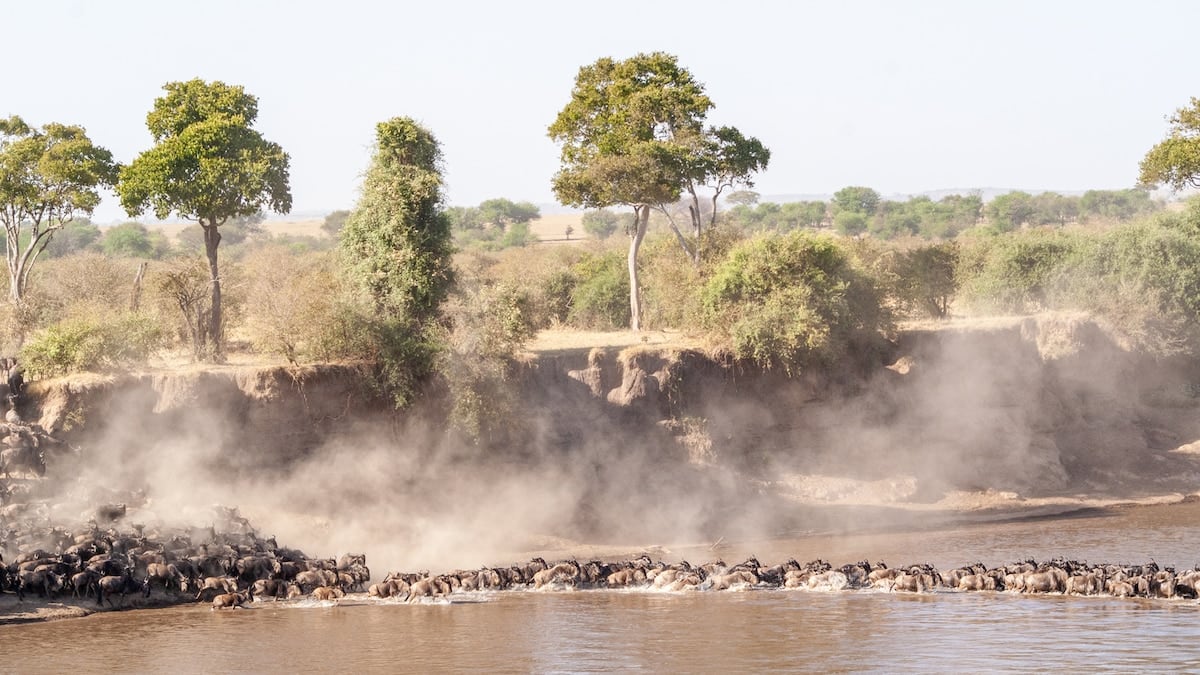 Tanzania bajo la lupa: tres parques, tres geografías y el pulso permanente de la gran migración