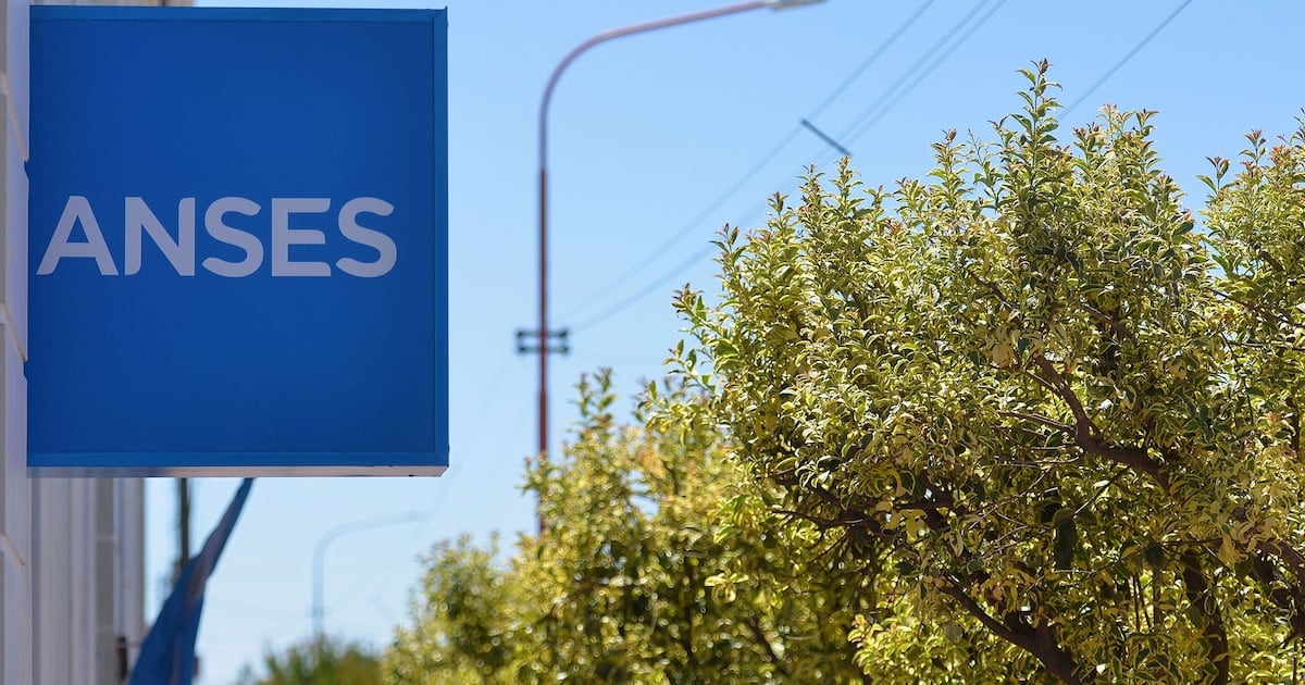 DNI terminados en 2: el cronograma completo de ANSES para octubre y los montos que se acreditan