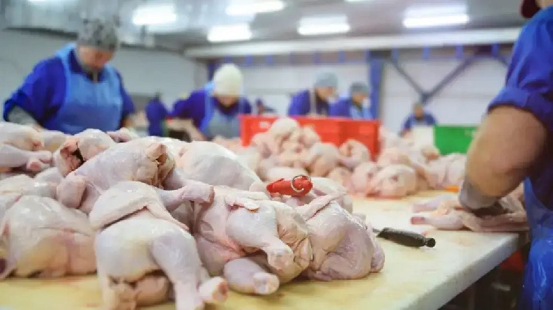 El pollo le ganó la pulseada a la carne vacuna y ya se come más en la mesa argentina