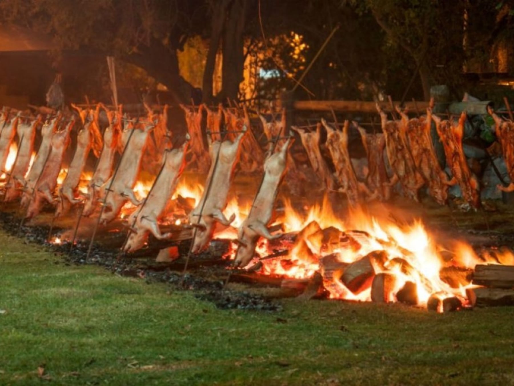Feriado en clave gastronómica: la agenda completa para recorrer la provincia de Buenos Aires del 10 al 12 de octubre