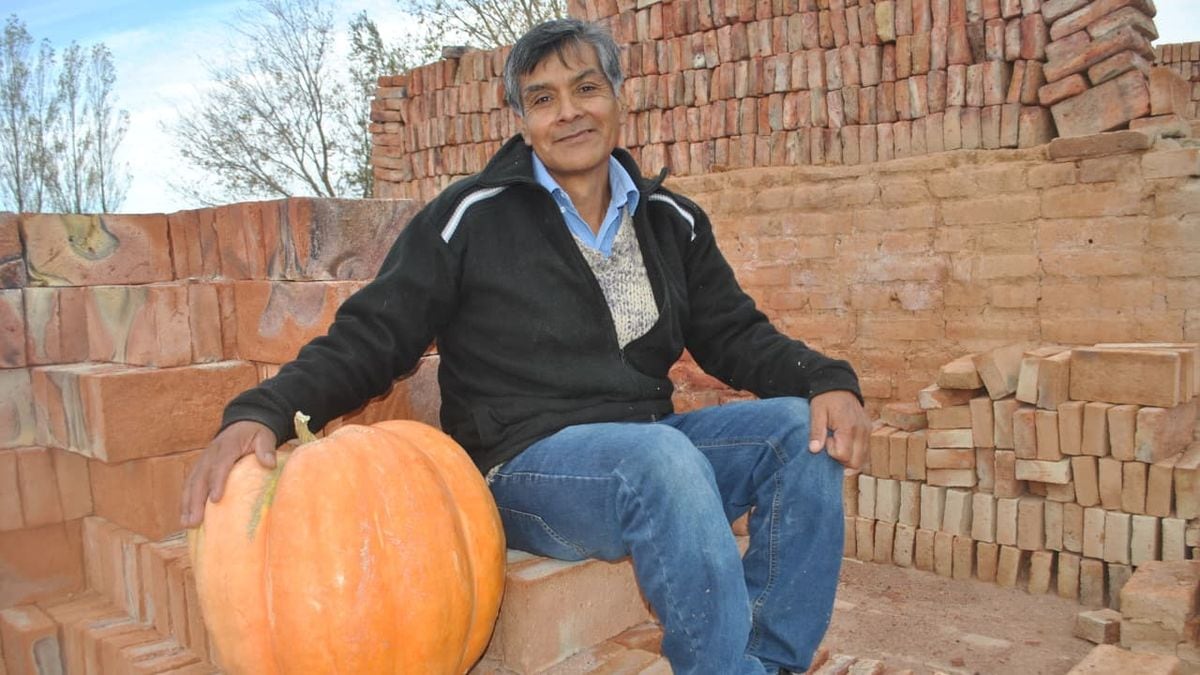 Mariano Moreno vuelve a sembrar el zapallo más grande del país con semillas que entrega el municipio