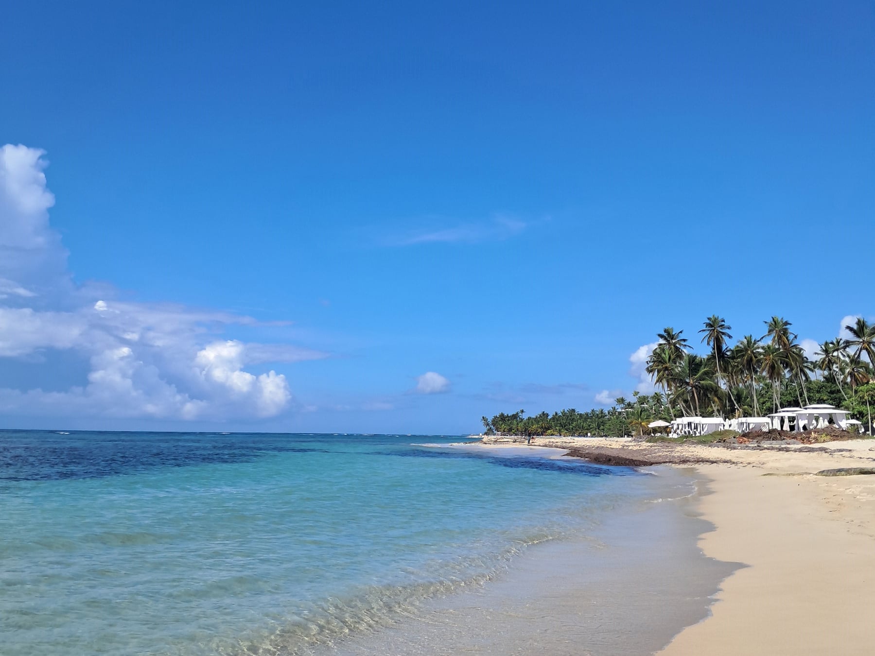 República Dominicana pisa fuerte en el mercado emisivo argentino y se prepara para cruzar la barrera del medio millón de visitantes