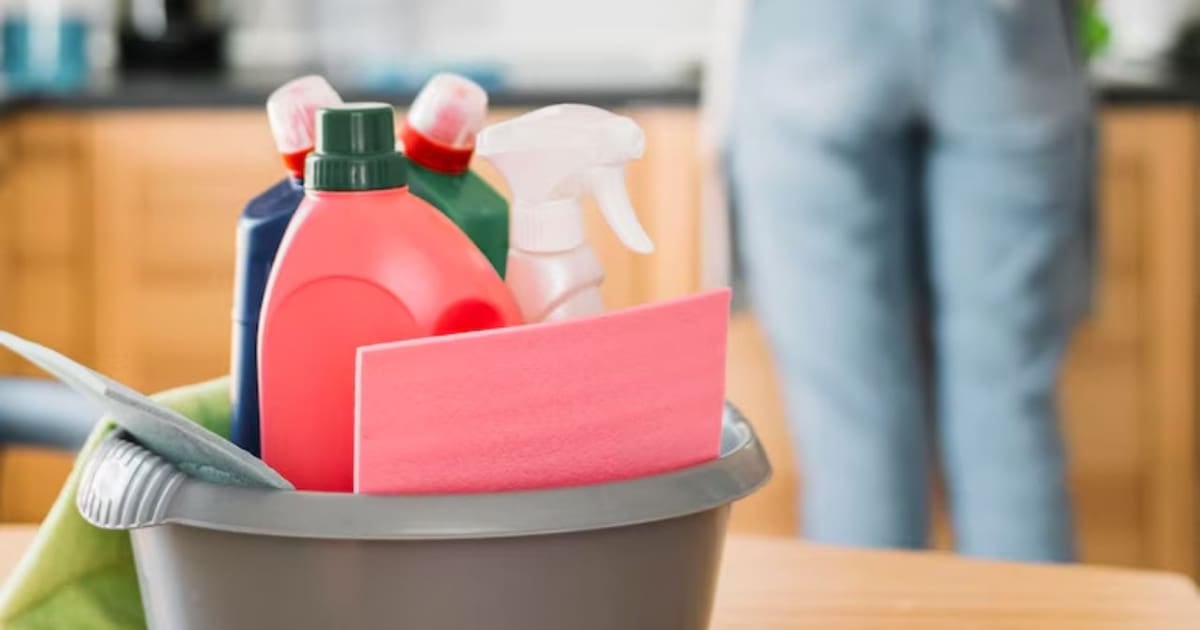 ARCA lanzó un recibo de sueldo digital con cálculo automático para el personal de casas particulares