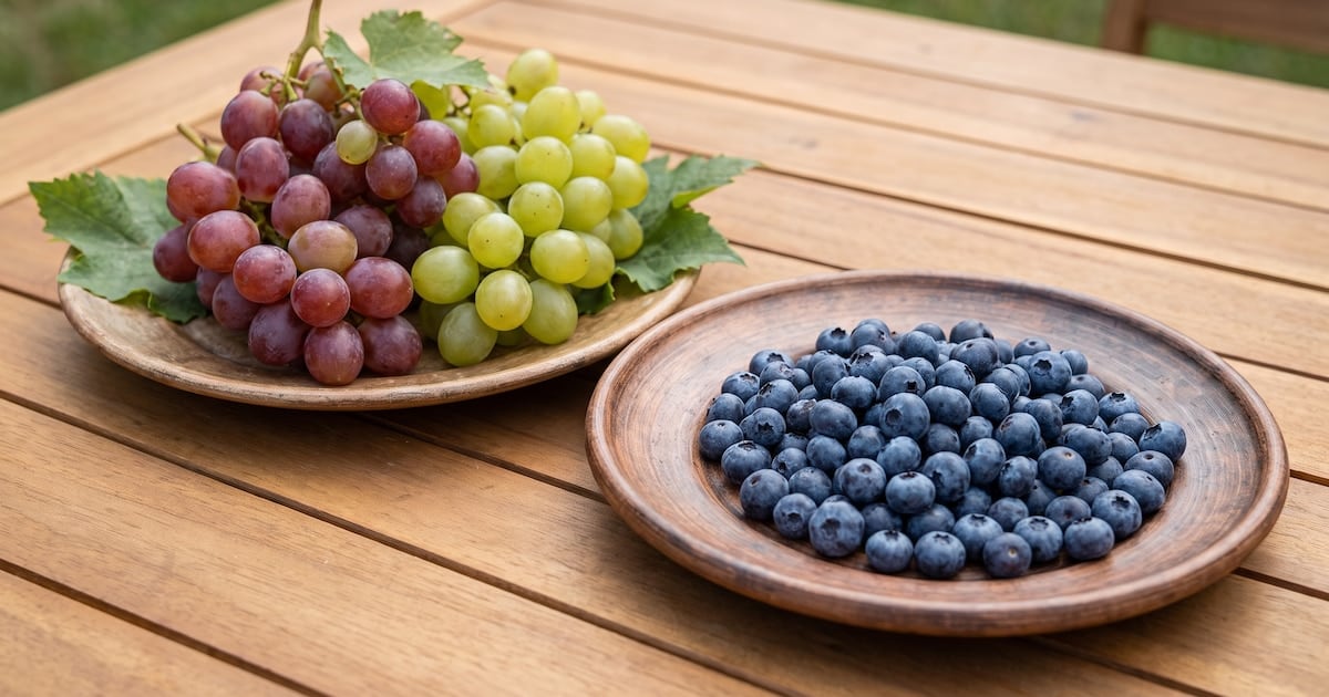 Arándanos o uvas: la fibra marca la diferencia en el pico de glucosa y la elección depende del plato que las acompaña