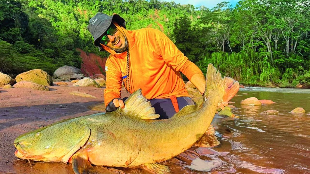 Pesca deportiva en la Amazonía boliviana: quince especies y piezas de hasta 25 kilos en un río de más de 350 kilómetros