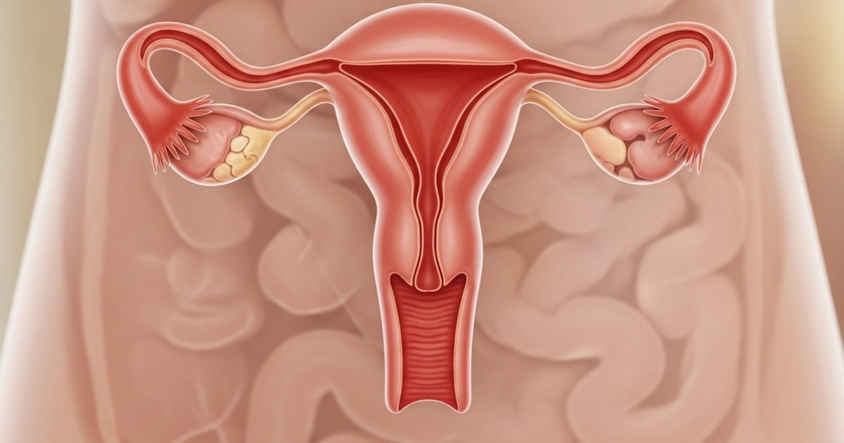 El ovario no se apaga: el hallazgo que cambia lo que sabíamos sobre la menopausia