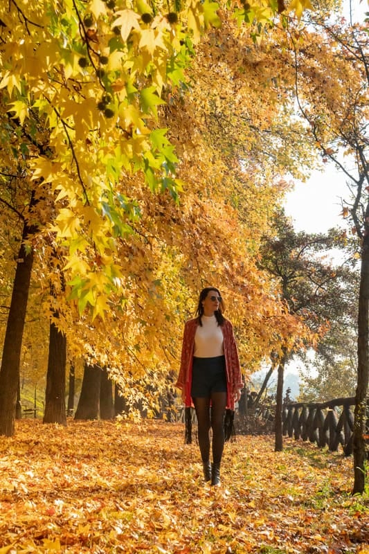 Europa cambia de ritmo: doce capitales-prepared para el otoño