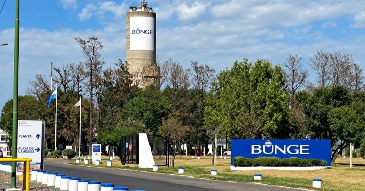 Campana pierde una línea de insumos para fertilizantes y 110 puestos de trabajo